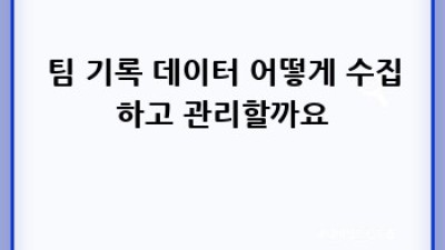 팀 기록 분석: 최고 성적 달성 전략